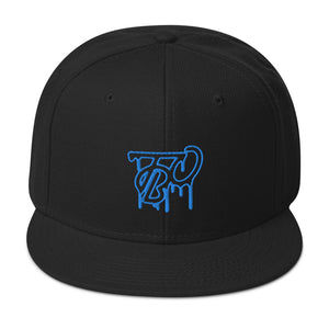 TBO NEON DREAMS 2020 Limited Edition Ice Cold Snapback Hat